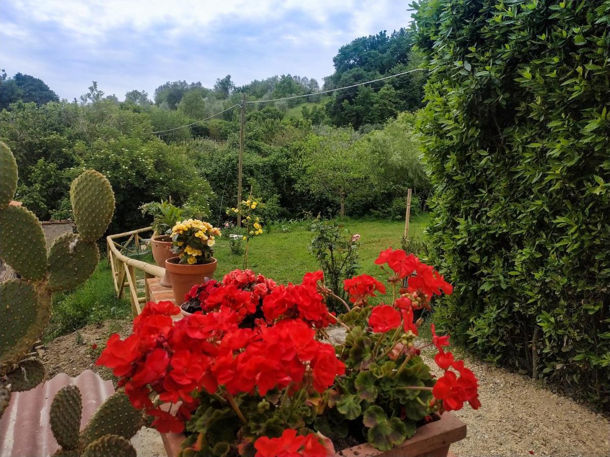 Locanda Prato D'Era Volterra Eksteriør bilde